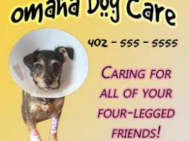 Omaha Dog Care